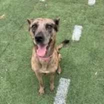 Thumbnail photo of Eleanor #3