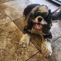 Thumbnail photo of Parker #2