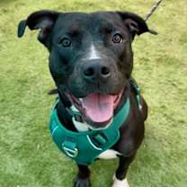 Thumbnail photo of Geri #2