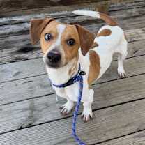 Thumbnail photo of Jackie Long-Body #2