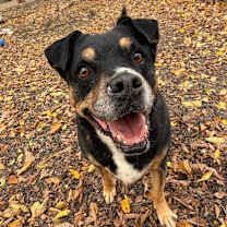 Thumbnail photo of Jordan #1