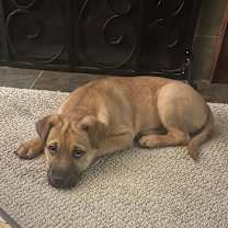 Thumbnail photo of Joker #3