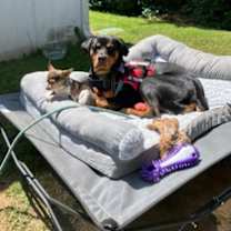 Thumbnail photo of Lucy #4