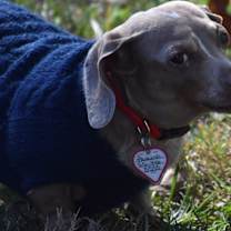 Thumbnail photo of Princess #1