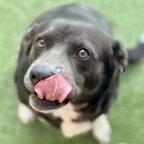 Thumbnail photo of Lottie #2