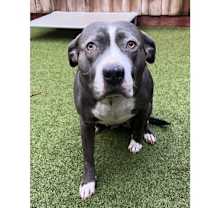 Thumbnail photo of Celeste #1