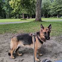 Thumbnail photo of Dima #3