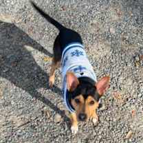 Thumbnail photo of UBIYTSA #2