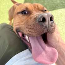 Thumbnail photo of Tank #1