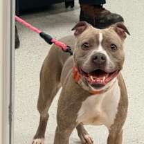 Thumbnail photo of Denim #1