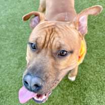 Thumbnail photo of Tank #2