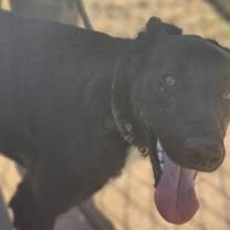 Thumbnail photo of Jack #3