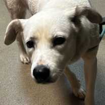 Thumbnail photo of Miss Wiggles #3