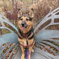 Thumbnail photo of Arya #1