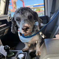 Thumbnail photo of Finley #1