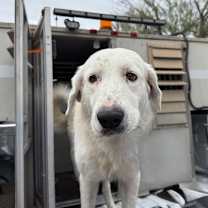 Thumbnail photo of Tally #2