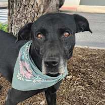 Thumbnail photo of Harper JuM #1