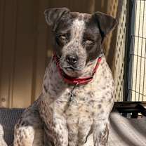 Thumbnail photo of Faye #4