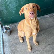 Thumbnail photo of Golden State #1