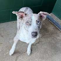 Thumbnail photo of Mimzy #3