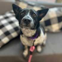 Thumbnail photo of Little Bit #1