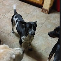 Thumbnail photo of Little Bit #2