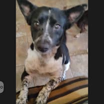 Thumbnail photo of Little Bit #3