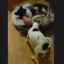 Thumbnail photo of Little Bit #4