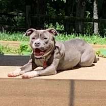 Thumbnail photo of Phoenix #1