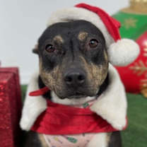 Thumbnail photo of Sarah #1