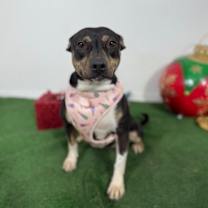 Thumbnail photo of Sarah #4