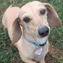 Thumbnail photo of Billie Jean in TN #1