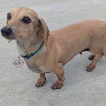 Thumbnail photo of Billie Jean in TN #4