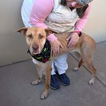 Thumbnail photo of Peppermint #2