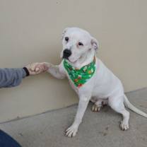 Thumbnail photo of Lucky #3