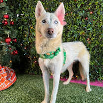 Thumbnail photo of Snow White #3