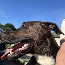 Thumbnail photo of Boots #1