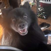 Thumbnail photo of Charlie #2