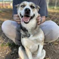 Thumbnail photo of Chloe #2