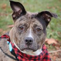 Thumbnail photo of Coco #2