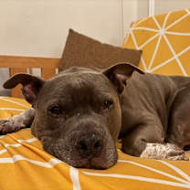 Thumbnail photo of Blu #3