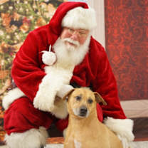 Thumbnail photo of Penny #1