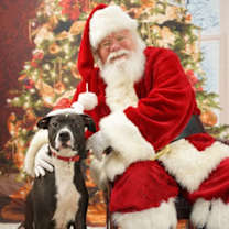 Thumbnail photo of Turbo #1