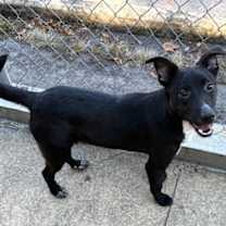 Thumbnail photo of Wydner #4