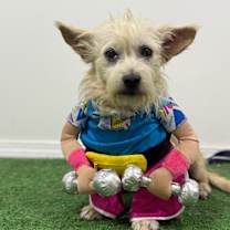 Thumbnail photo of Zed #4