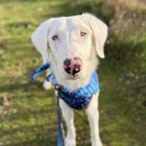 Thumbnail photo of Powder #2