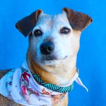 Thumbnail photo of LADYBUG #2