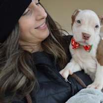 Thumbnail photo of Dash #2