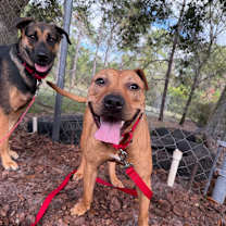 Thumbnail photo of Ripley #4