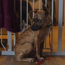 Thumbnail photo of Courage #2